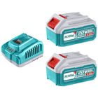 Imagen de 2 Baterías Litio Ion 5.0Ah + Cargador Rápido 4A 20v